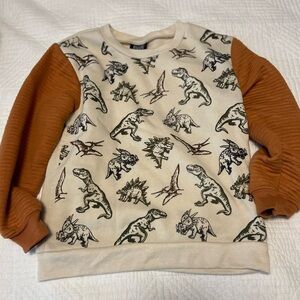 Kids Dinosaurs Sweatshirt